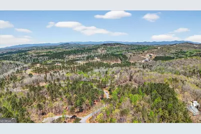 0 Twisted Oak Road #LOT 440, Talking Rock, GA 30175 - Photo 11