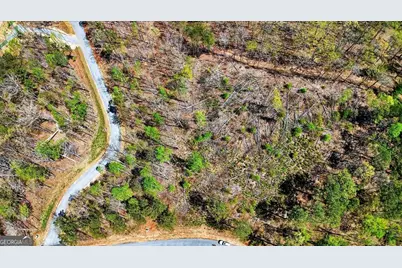 0 Twisted Oak Road #LOT 440, Talking Rock, GA 30175 - Photo 5