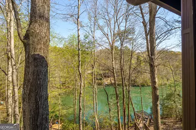 942 Granny Branch Drive, Blue Ridge, GA 30513 - Photo 41