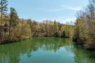 942 Granny Branch Drive, Blue Ridge, GA 30513 - Photo 3