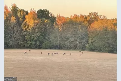 4424 Ansley Road, Warrenton, GA 30828 - Photo 59