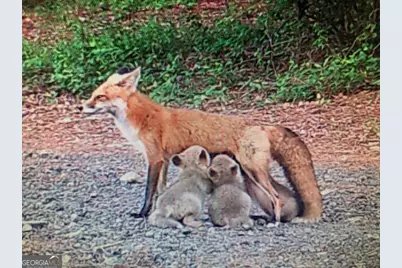 4424 Ansley Road, Warrenton, GA 30828 - Photo 63