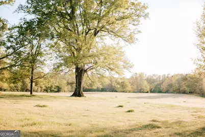 4424 Ansley Road, Warrenton, GA 30828 - Photo 11