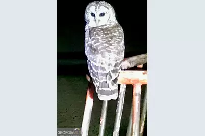 4424 Ansley Road, Warrenton, GA 30828 - Photo 69