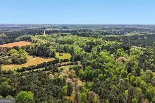 9120 Wilkerson Mill Rd, Chattahoochee Hills, GA 30268 - Photo 67