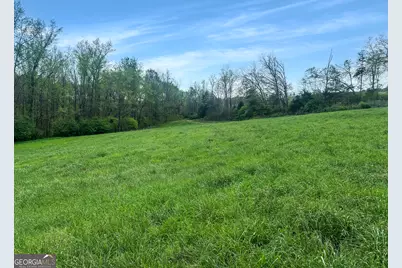 965 Gooseneck Road, Eastanollee, GA 30538 - Photo 3