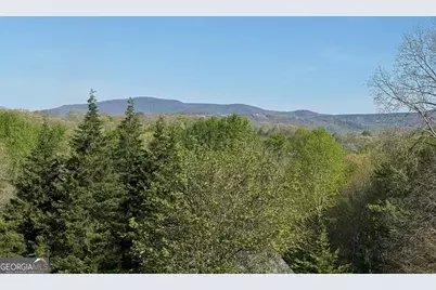 112 Rockford Farm Drive, Clarkesville, GA 30523 - Photo 3