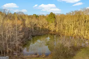 163 Ridgeland Dr, Maysville, GA 30558 - Photo 35