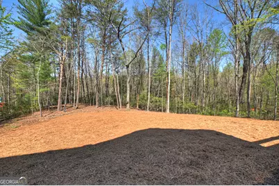 375 Seneca Drive, Ellijay, GA 30540 - Photo 47
