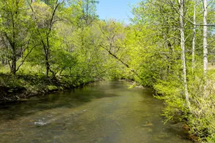 375 Seneca Dr, Ellijay, GA 30540 - Photo 57