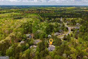 1171 Spring Lake Dr, Bishop, GA 30621 - Photo 59