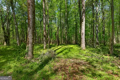 208 Thompson Road, Tyrone, GA 30290 - Photo 15