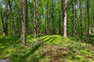 208 Thompson Rd, Tyrone, GA 30290 - Photo 15