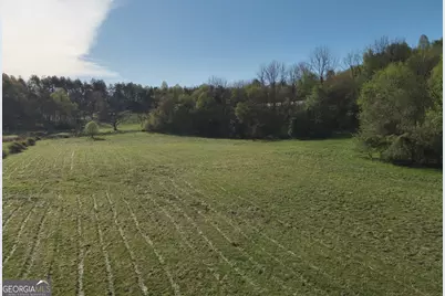 7590 Mobile Road, Blue Ridge, GA 30513 - Photo 7