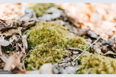 0 Monroe Hwy, Statham, GA 30666 - Photo 7