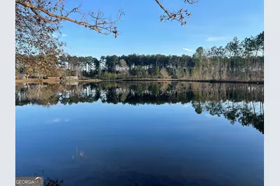 275 Marchants Dairy Road, Rhine, GA 31077 - Photo 25
