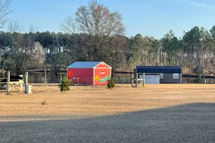 275 Marchants Dairy Rd, Rhine, GA 31077 - Photo 23