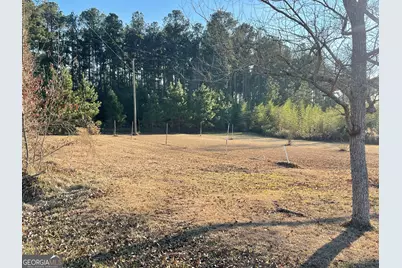 275 Marchants Dairy Road, Rhine, GA 31077 - Photo 13
