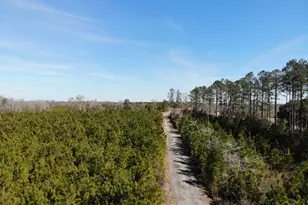 275 Marchants Dairy Rd, Rhine, GA 31077 - Photo 39