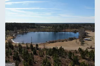 275 Marchants Dairy Road, Rhine, GA 31077 - Photo 39