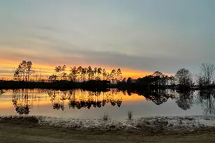 275 Marchants Dairy Rd, Rhine, GA 31077 - Photo 1