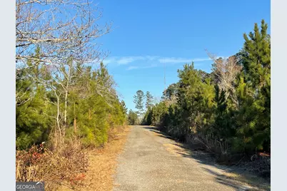 275 Marchants Dairy Road, Rhine, GA 31077 - Photo 17