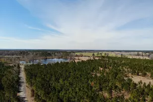 275 Marchants Dairy Rd, Rhine, GA 31077 - Photo 1