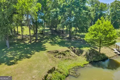 114 Waterfront Drive, Cobb, GA 31735 - Photo 51