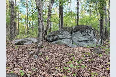 0 Ga Hwy 116, Hamilton, GA 31811 - Photo 7