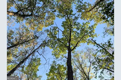 0 Ga Hwy 116, Hamilton, GA 31811 - Photo 11