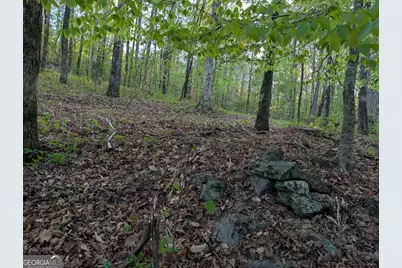 0 Ga Hwy 116, Hamilton, GA 31811 - Photo 3