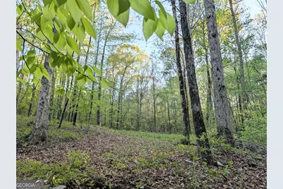 0 Ga Hwy 116, Hamilton, GA 31811 - Photo 5