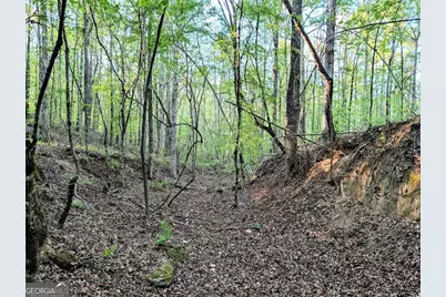 0 Ga Hwy 116, Hamilton, GA 31811 - Photo 9