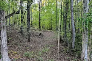 0 Ga Hwy 116, Hamilton, GA 31811 - Photo 1