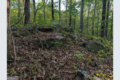 0 Ga Hwy 116, Hamilton, GA 31811 - Photo 13