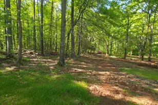 866 Smithonia Rd, Winterville, GA 30683 - Photo 21