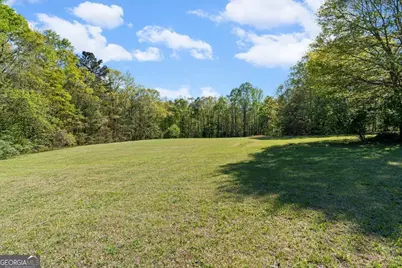 812 Pine Grove Road, Tallapoosa, GA 30176 - Photo 47