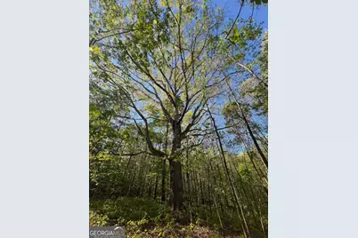 0 Plainview Road, Maysville, GA 30558 - Photo 9