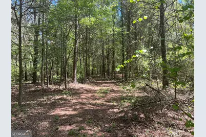 0 Plainview Road, Maysville, GA 30558 - Photo 3