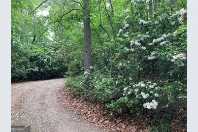 277 Hamilton Road, Blairsville, GA 30512 - Photo 23