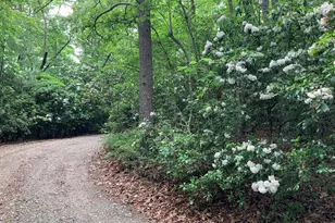 277 Hamilton Rd, Blairsville, GA 30512 - Photo 23