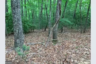 277 Hamilton Road, Blairsville, GA 30512 - Photo 25