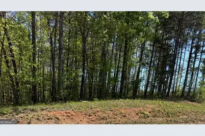 0 US Hwy 27, Bremen, GA 30110 - Photo 1