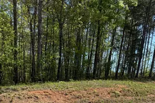 0 US Hwy 27, Bremen, GA 30110 - Photo 1