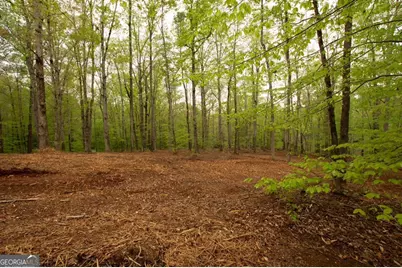 0 River Overlook, Forsyth, GA 31029 - Photo 5