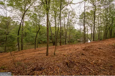 0 River Overlook, Forsyth, GA 31029 - Photo 9