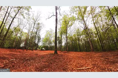 0 River Overlook, Forsyth, GA 31029 - Photo 7
