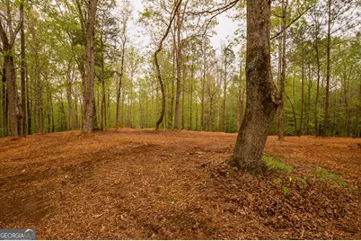 0 River Overlook, Forsyth, GA 31029 - Photo 11