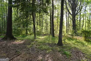 161 Kathryn Way, Commerce, GA 30530 - Photo 39