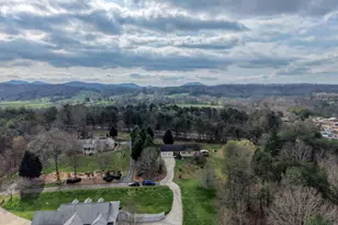 161 High Country Crossing, Morganton, GA 30560 - Photo 5